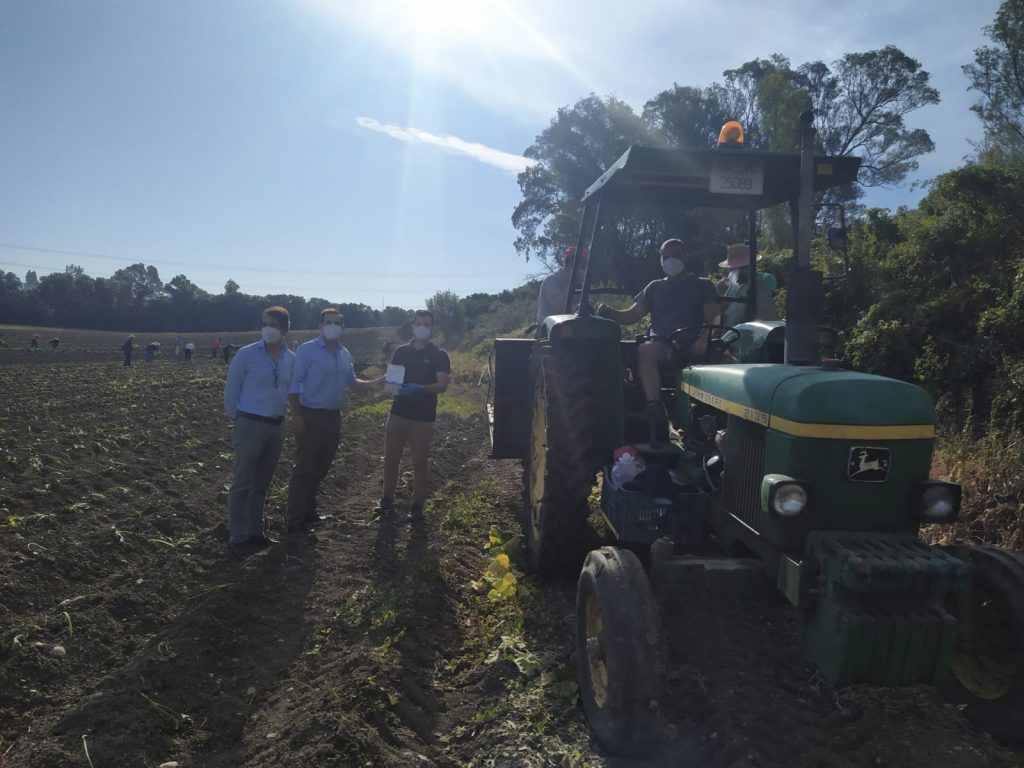 Imagen TEMPOREROS Y PREVENCIÓN DE COVID-19