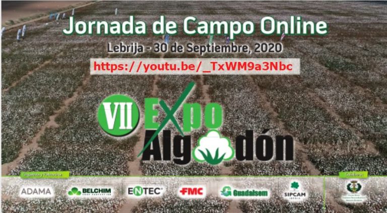 LA VII EDICIÓN DE EXPOALGODÓN SE CELEBRARÁ EL MIÉRCOLES 30 DE SEPTIEMBRE CON UNA JORNADA DE CAMPO ONLINE