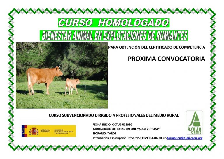 Curso de Bienestar Animal en el transporte de rumiantes