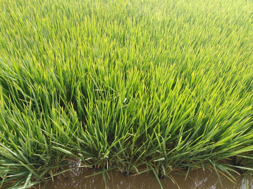 Imagen EVENTOS Y NOTICIAS