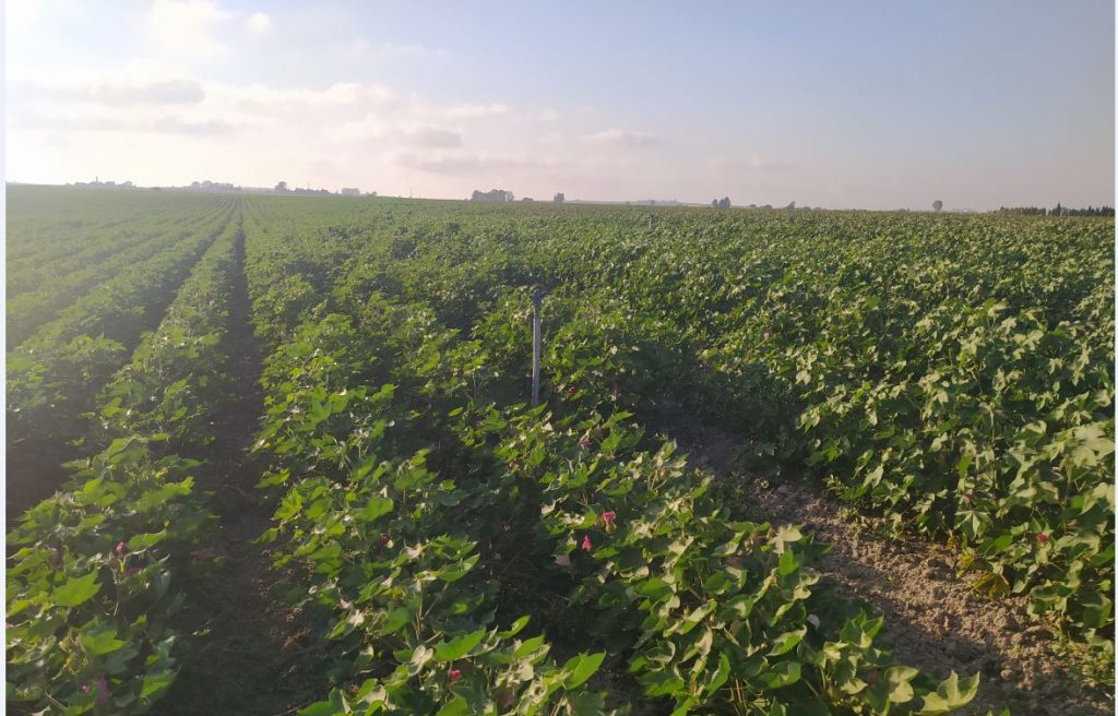 Imagen EVENTOS Y NOTICIAS