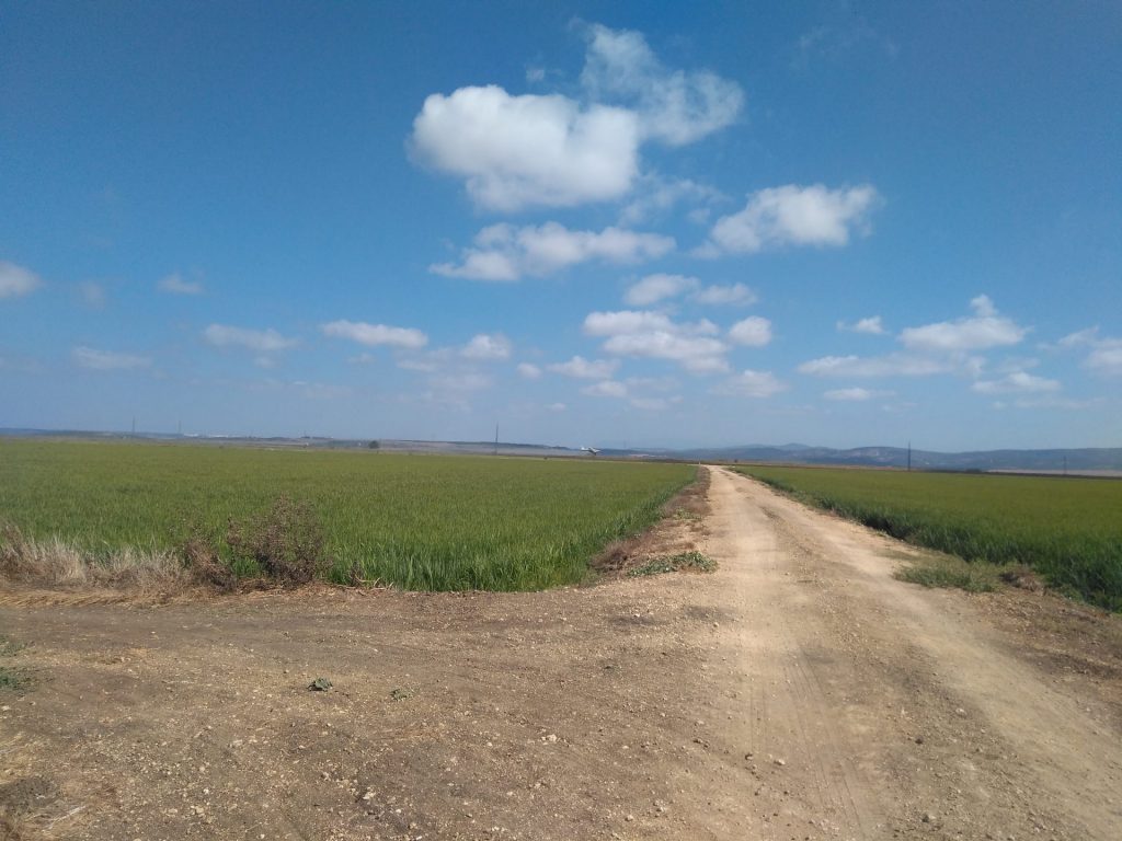 Imagen PRÁCTICAS RECOMENDADAS, PROHIBIDAS, OBLIGATORIAS EN PRODUCCIÓN INTEGRADA