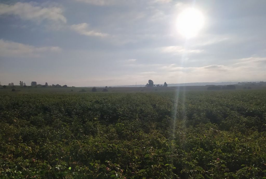 Imagen TRATAMIENTOS RECOMENDADOS