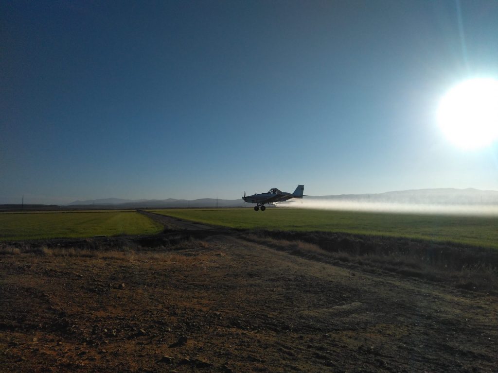 Imagen TRATAMIENTOS RECOMENDADOS