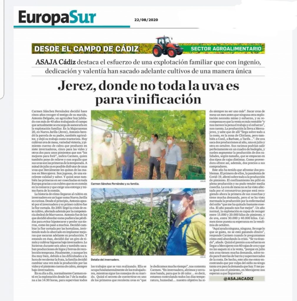 Imagen Jerez, donde no toda la uva es para vinificación