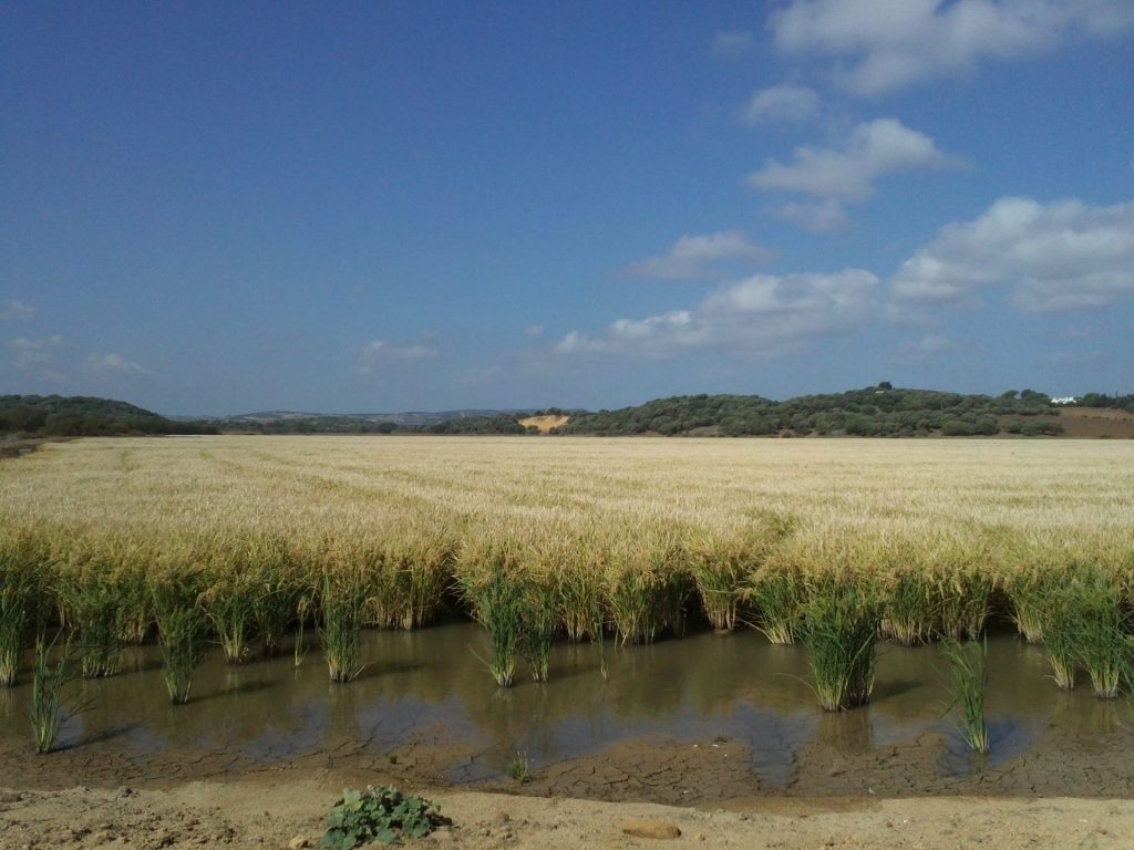 Imagen REPORTAJE FOTOGRÁFICO