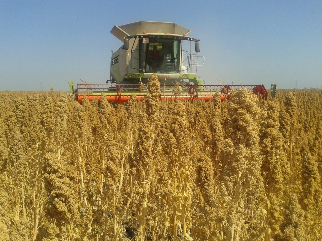 Imagen AYUDAS PLAN RENOVE: CONSULTA PÚBLICA