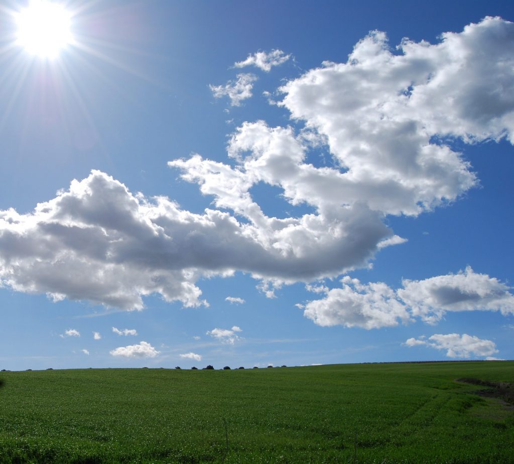 Imagen AMPLIACIÓN DE LOS COMPROMISOS DE LA M. 10 AGROAMBIENTE Y CLIMA Y LA M. 11 AGRICULTURA ECOLÓGICA