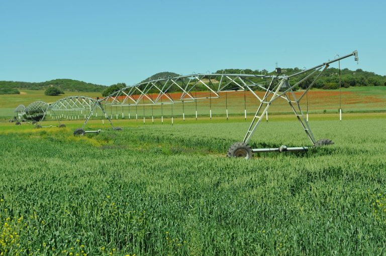 APROBADO EL PLAN DE SEGUROS AGRARIOS PARA 2021