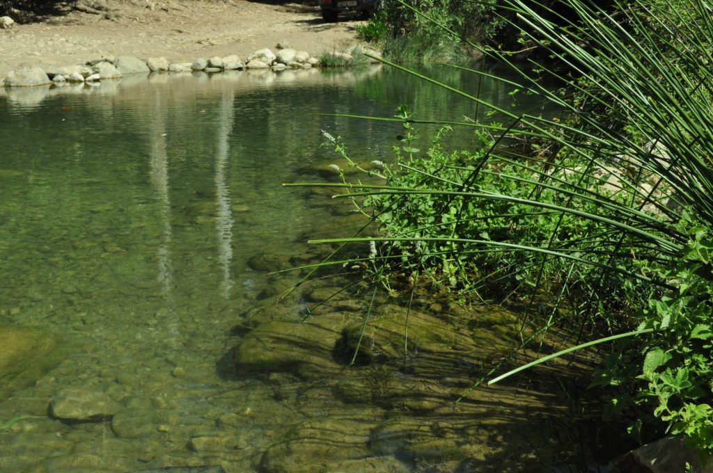 Imagen MODIFICACIÓN BASES REGULADORAS MEDIDAS 10, 11 Y 13: AGROAMBIENTALES, AGRICULTURA ECOLÓGICA Y ZONAS CON LIMITACIONES