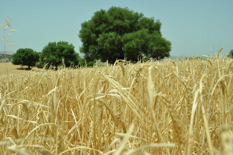 AUMENTO PRESUPUESTO PLAN DE SEGUROS AGRARIOS COMBINADOS