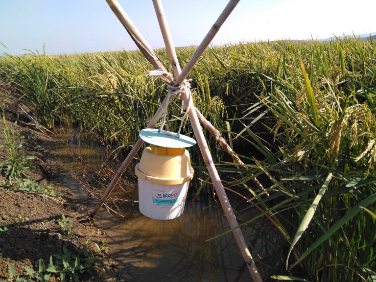 CONVOCATORIA AYUDAS DIRIGIDAS A LAS AGRUPACIONES PARA TRATAMIENTOS INTEGRADOS EN AGRICULTURA