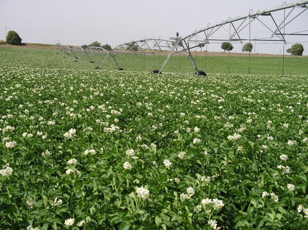 Imagen AYUDAS PARA LA MEJORA DE LA EFICIENCIA ENERGÉTICA EN EXPLOTACIONES AGROPECUARIAS