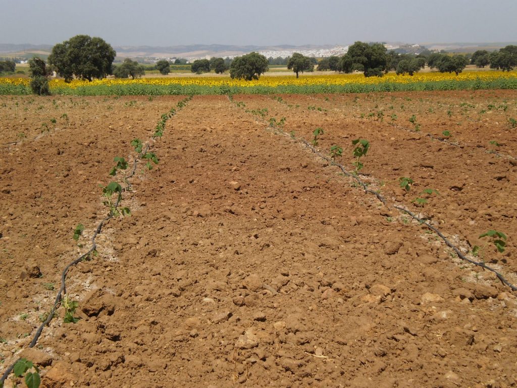 Imagen CIRCULAR  FEGA CRITERIOS ASIGNACIÓN DERECHOS DE LA RESERVA NACIONAL