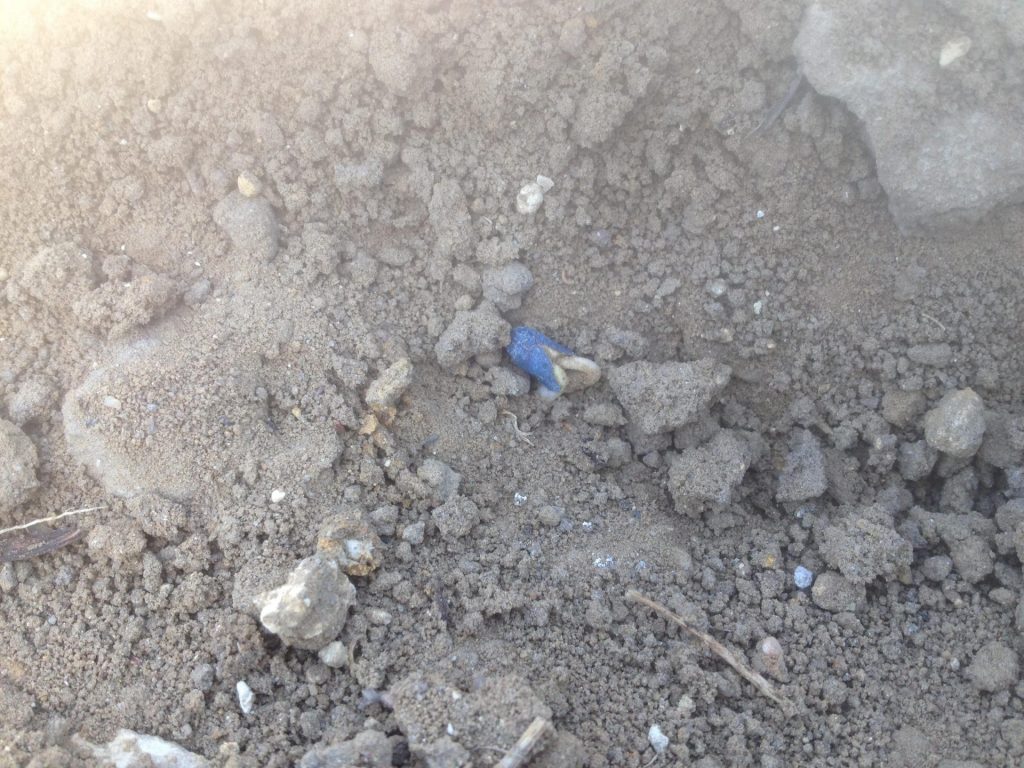 Imagen PRÁCTICAS RECOMENDADAS, PROHIBIDAS, OBLIGATORIAS EN PRODUCCIÓN INTEGRADA