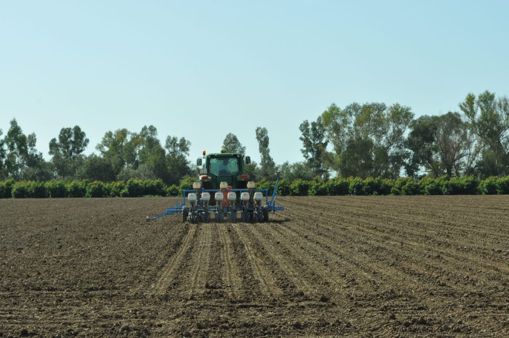 Imagen CONDICIONES DE ALMACENAMIENTO, COMERCIALIZACIÓN, IMPORTACIÓN O EXPORTACIÓN, CONTROL OFICIAL Y AUTORIZACIÓN DE ENSAYOS CON PRODUCTOS FITOSANITARIOS