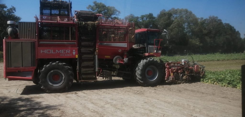 Imagen PRÁCTICAS RECOMENDADAS, PROHIBIDAS, OBLIGATORIAS EN PRODUCCIÓN INTEGRADA