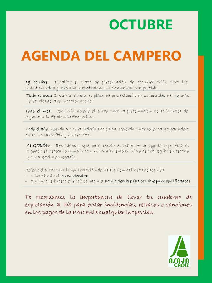 AGENDA DEL CAMPERO OCTUBRE