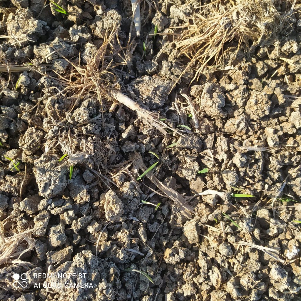 Imagen EVENTOS Y NOTICIAS