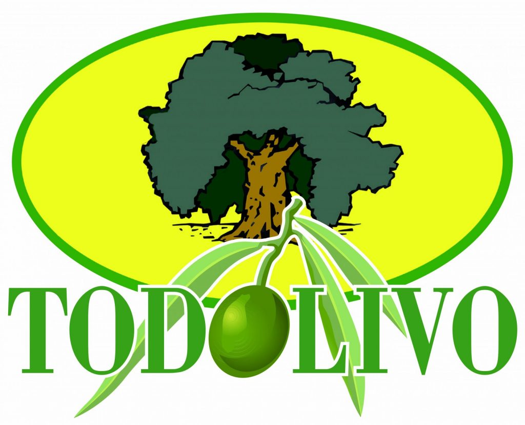 Imagen EL OLIVAR EN SETO SUPERA AL OLIVAR SUPERINTENSIVO