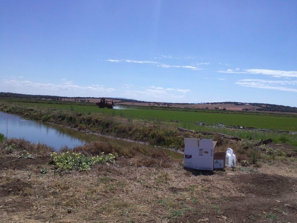 Imagen MATERIAS ACTIVAS Y AUTORIZACIONES EXCEPCIONALES