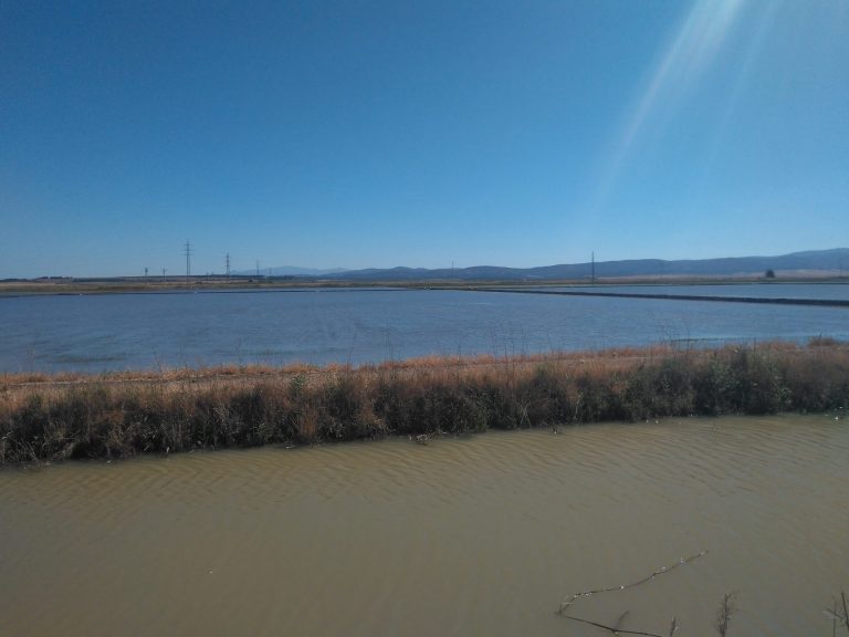 INFORMACIÓN PÚBLICA: PLAN HIDROLÓGICO, PLAN DE GESTIÓN DEL RIESGO DE INUNDACIÓN Y ESTUDIO AMBIENTAL ESTRATÉGICO DEL GUADALETE Y BARBATE