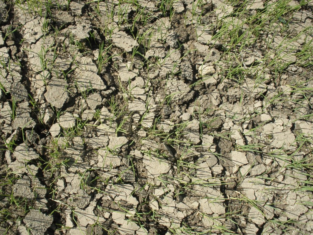 Imagen TRATAMIENTOS RECOMENDADOS