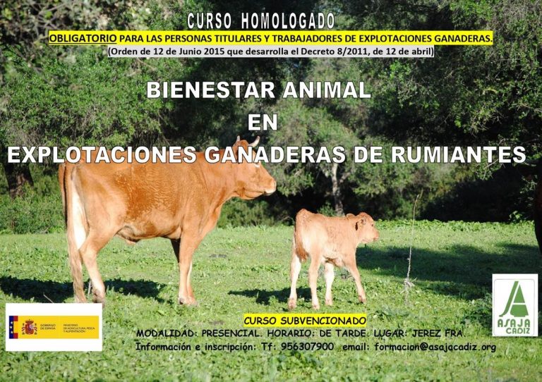 CURSO HOMOLOGADO DE BIENESTAR ANIMAL EN EXPLOTACIONES GANADERAS DE RUMIANTES