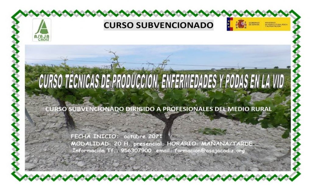 Imagen CURSO DE TÉCNICAS DE PRODUCCIÓN, ENFERMEDADES Y PODAS EN LA VID