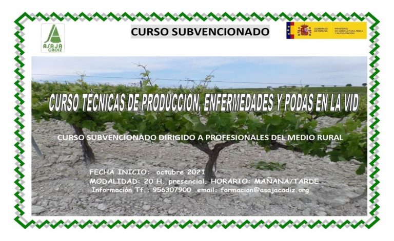 CURSO DE TÉCNICAS DE PRODUCCIÓN, ENFERMEDADES Y PODAS EN LA VID