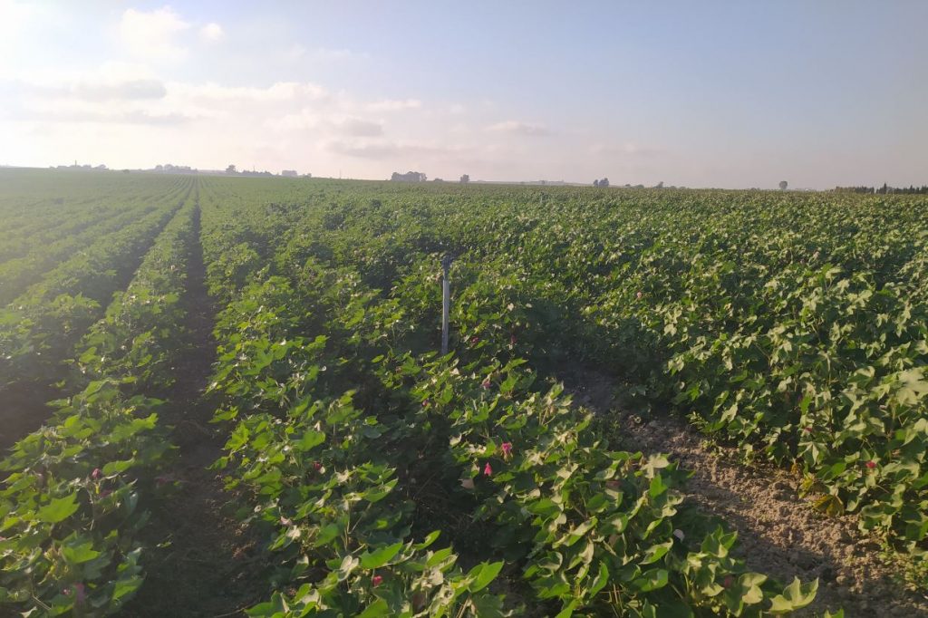 Imagen EVENTOS Y NOTICIAS