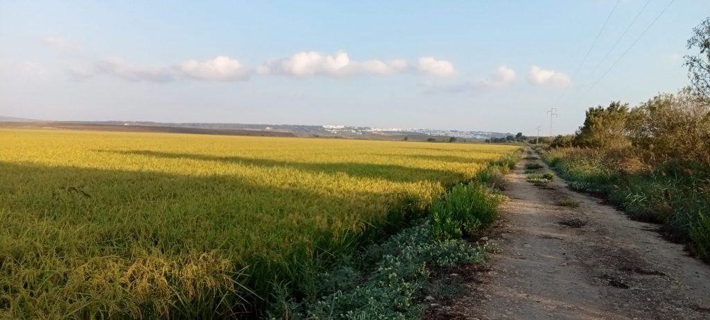 Imagen EVENTOS Y NOTICIAS