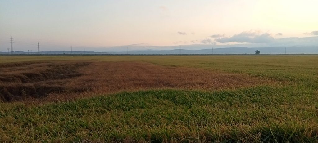 Imagen REPORTAJE FOTOGRÁFICO