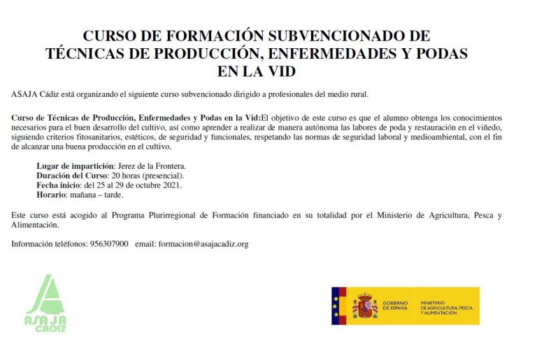 CURSO DE FORMACIÓN SUBVENCIONADO DE  TÉCNICAS DE PRODUCCIÓN, ENFERMEDADES Y PODAS  EN LA VID