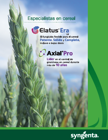 SYNGENTA: ESPECIALISTAS EN CEREAL