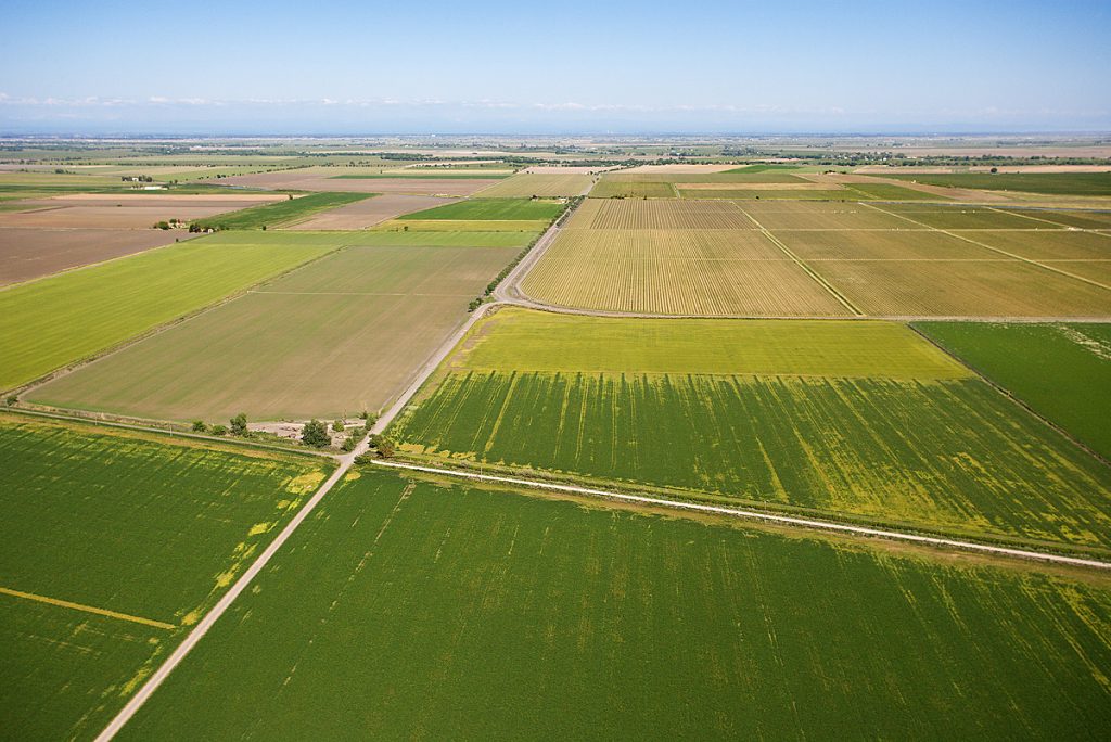 Imagen NOTA INFORMATIVA SALARIO MÍNIMO INTERPROFESIONAL 2025