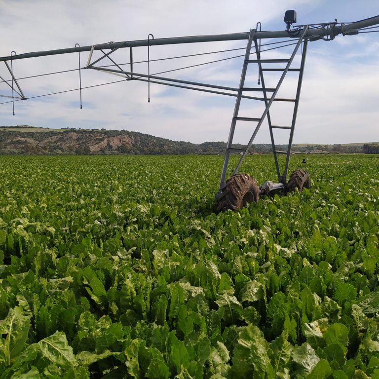 PRÁCTICAS DE ABONADO RECOMENDADAS, PROHIBIDAS, OBLIGATORIAS EN PRODUCCIÓN INTEGRADA