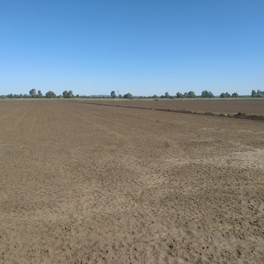 Imagen EVENTOS Y NOTICIAS