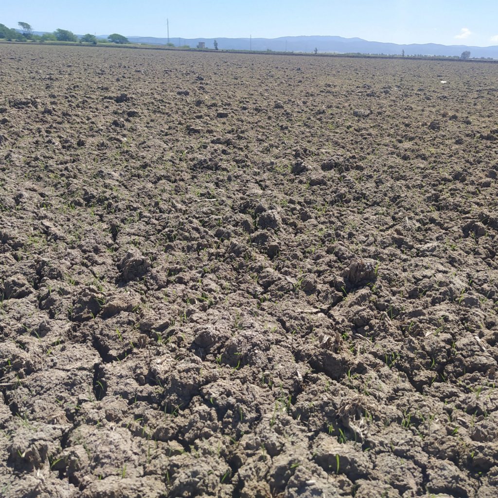 Imagen TRATAMIENTOS RECOMENDADOS