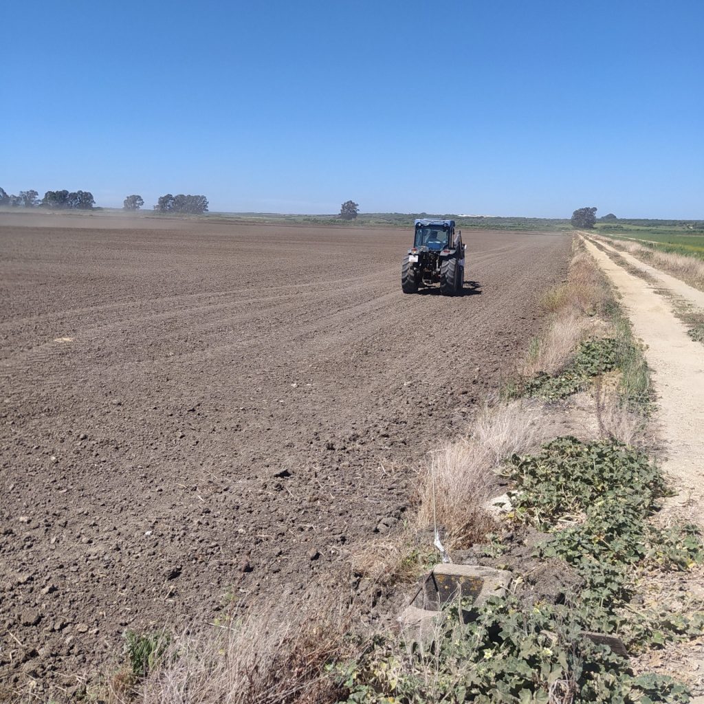 Imagen REPORTAJE FOTOGRÁFICO