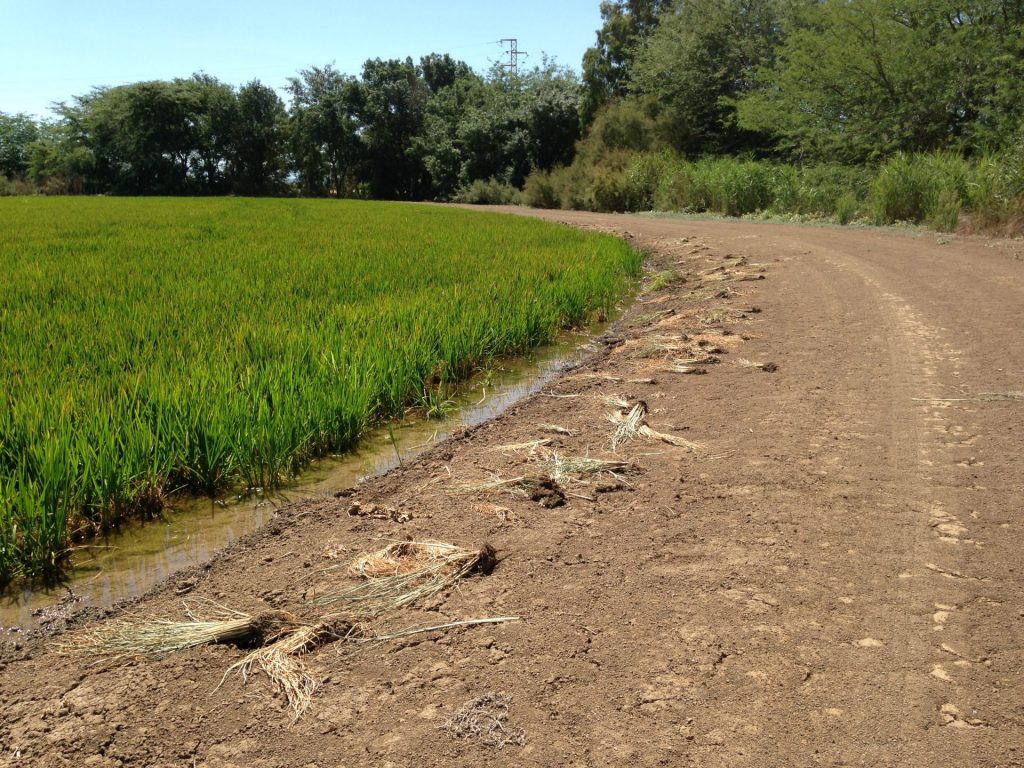 Imagen EVENTOS Y NOTICIAS