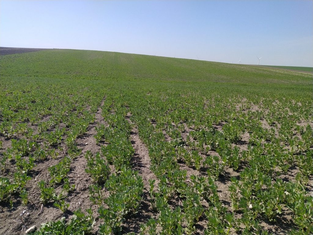 Imagen EVENTOS Y NOTICIAS