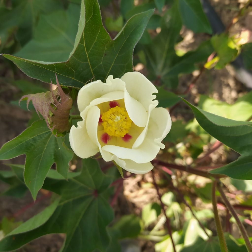 Imagen REPORTAJE FOTOGRÁFICO