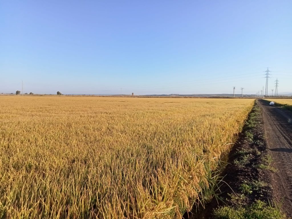 Imagen EVENTOS Y NOTICIAS