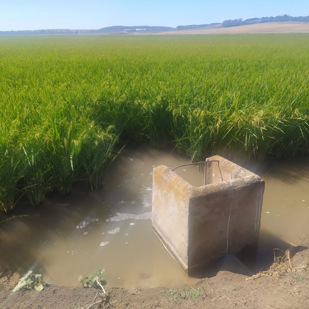 Imagen PUBLICADA NUEVA CONVOCATORIA DE AYUDAS PARA LA ADQUISICIÓN DE DEPÓSITOS, CUBAS Y ABREVADEROS