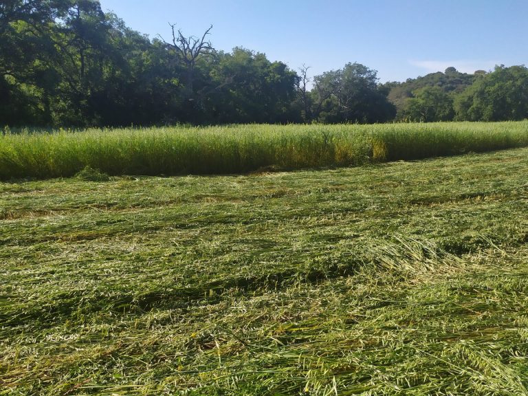 AGRICULTURA