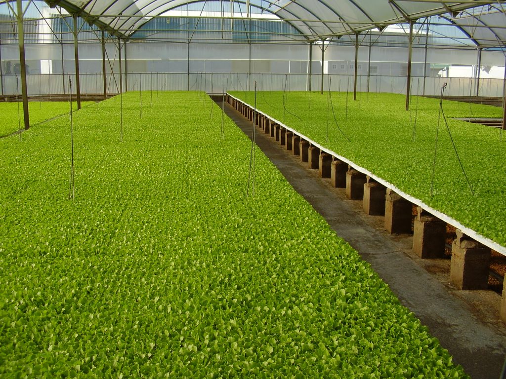 Imagen NOTA INFORMATIVA SALARIO MÍNIMO INTERPROFESIONAL 2023