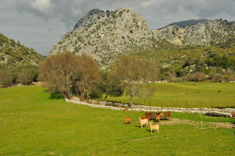 NUEVAS MEDIDAS “AGROAMBIENTALES” PAC 2023-2027