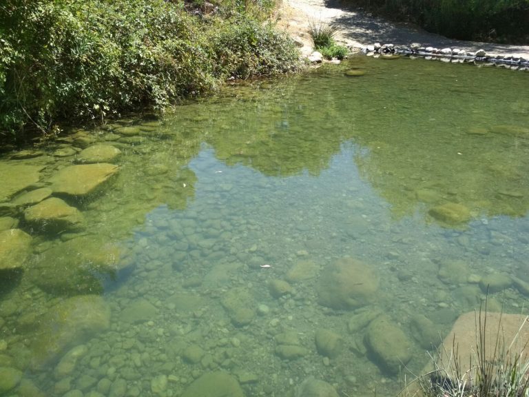 ELEMENTOS DEL PAISAJE Y FRANJAS DE PROTECCIÓN DE CAUCES, SIGPAC, CAMPAÑA 2023