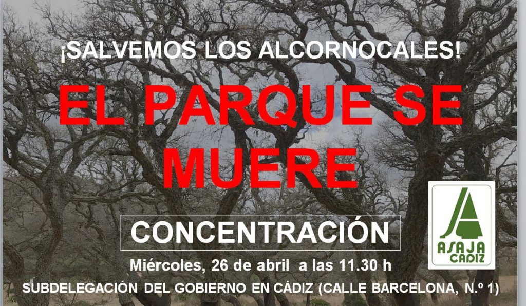 Imagen CONCENTRACIÓN TEMA LYMANTRIA